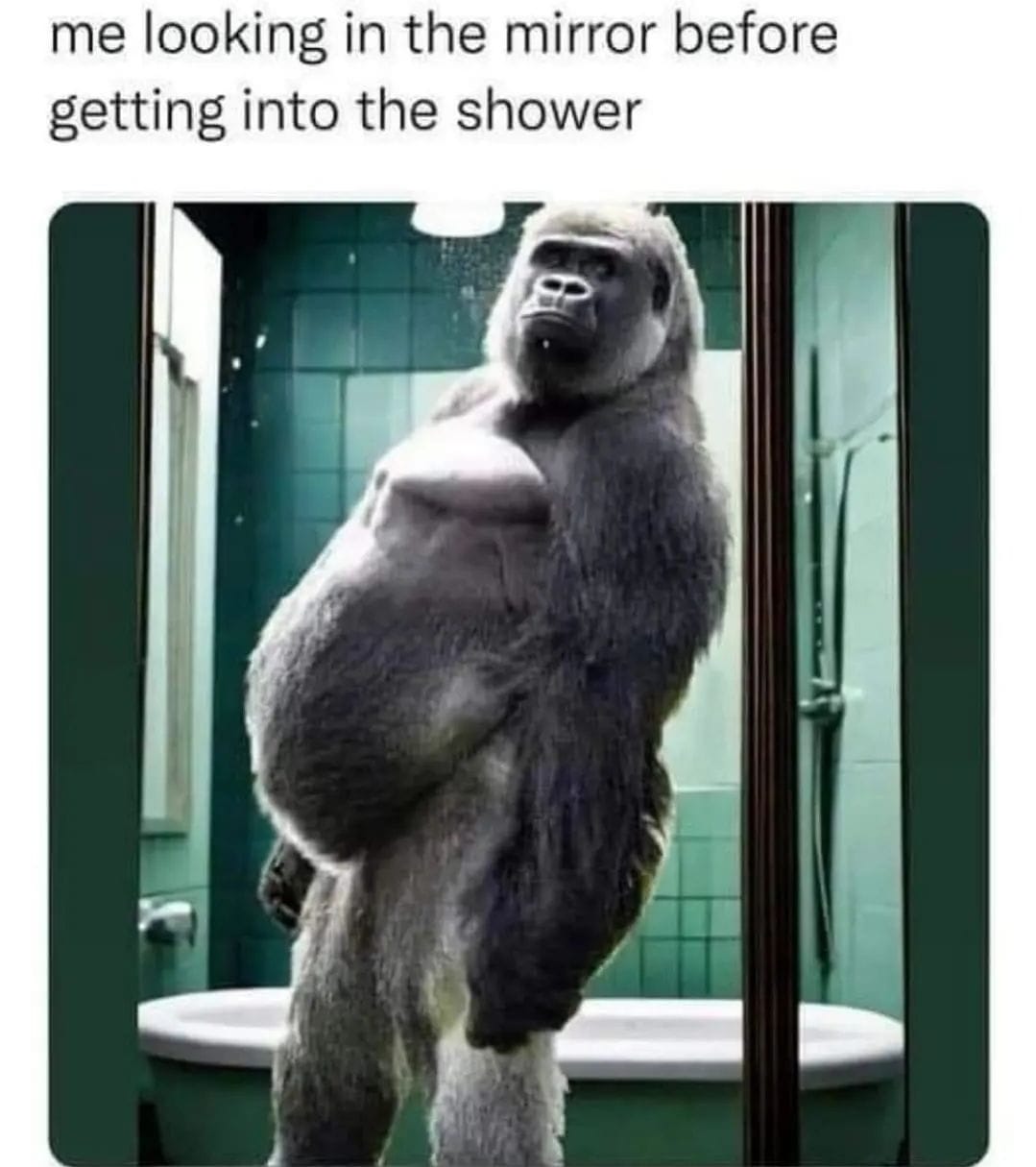 20 Memes That Will Make You Laugh Even on Your Worst Days 9 looking in the mirror