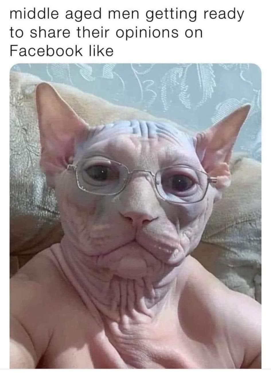 15 Memes That Will Make Your Day Fun 7 middle aged men