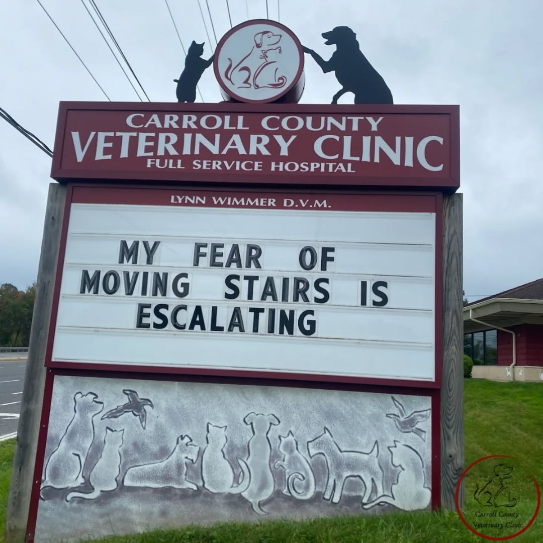 50 Funniest Roadside Signs from This Vet Clinic's Instagram: A Prescription for Smiles 49 moving stairs