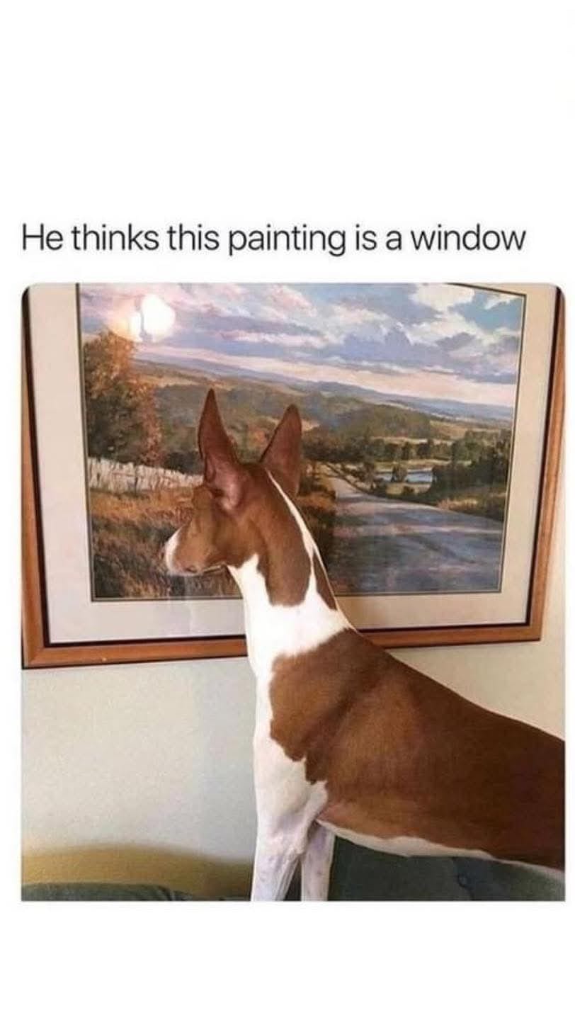 25 Uplifting Dog Memes That Will Fetch Your Smile 23 painting is a window