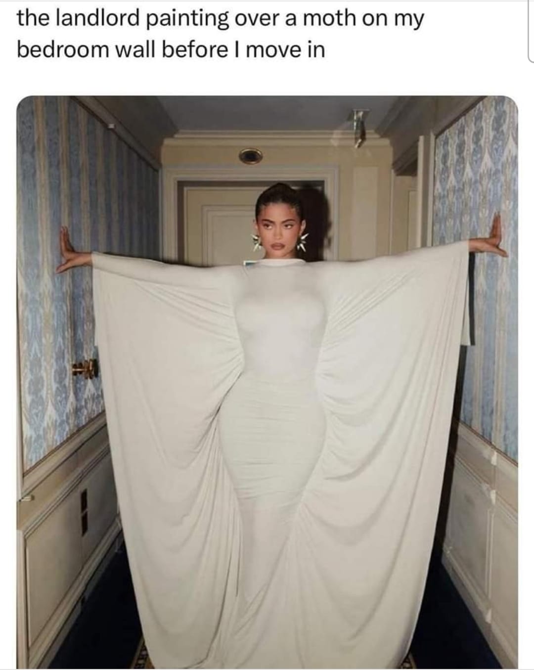 20 Memes That Will Make You Laugh Even on Your Worst Days 13 painting over a moth
