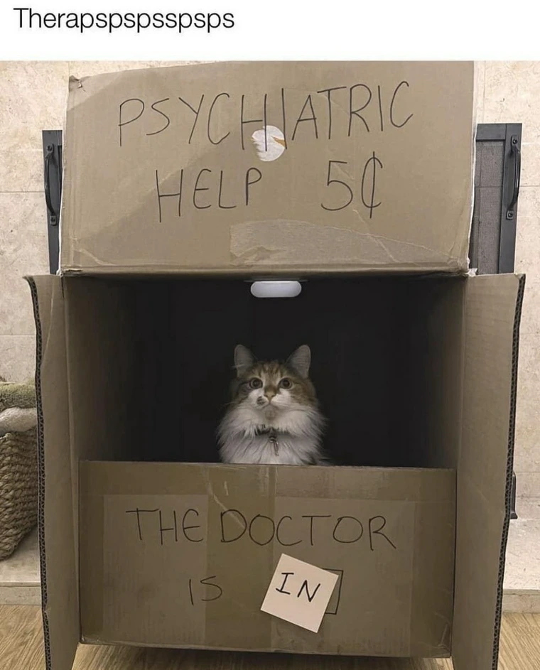 20 Funniest Cat Memes That Will Make Your Brain Meow 19 pspspsps - Funniest Cat Memes
