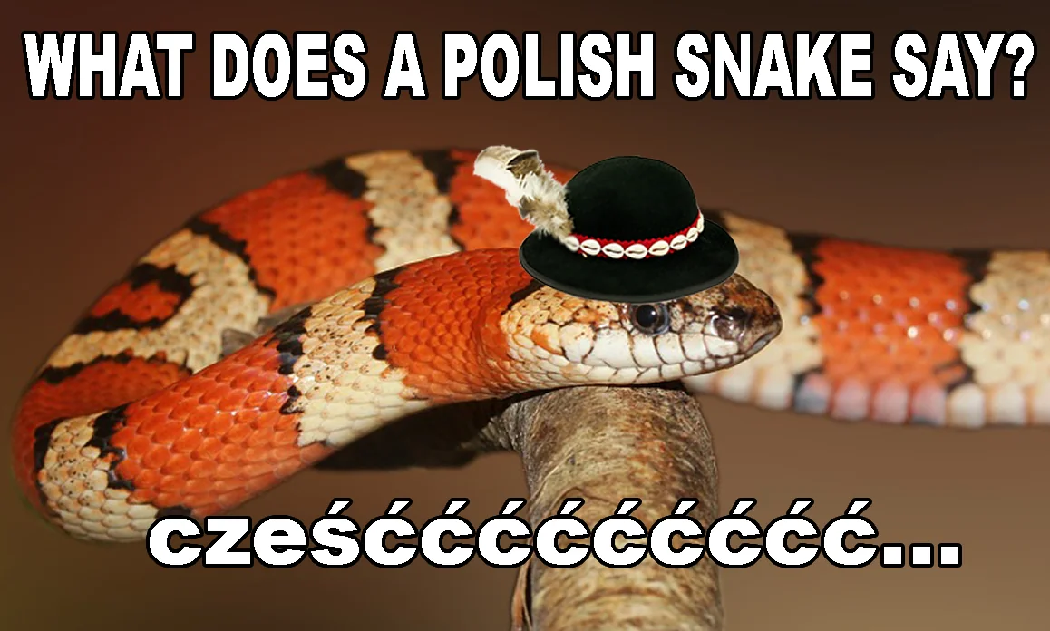 20 Snake Memes That Will Make You Sssmile on World Snake Day! 18 what does a polish snake say - Snake Memes