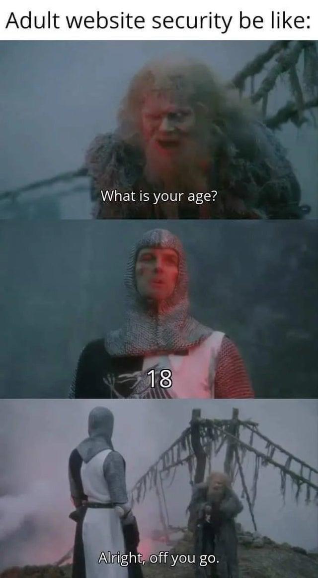 37 Best Monty Python Memes That Will Make You Say "A Blessing From The Lord" 19 Adult website security be like - monty python memes