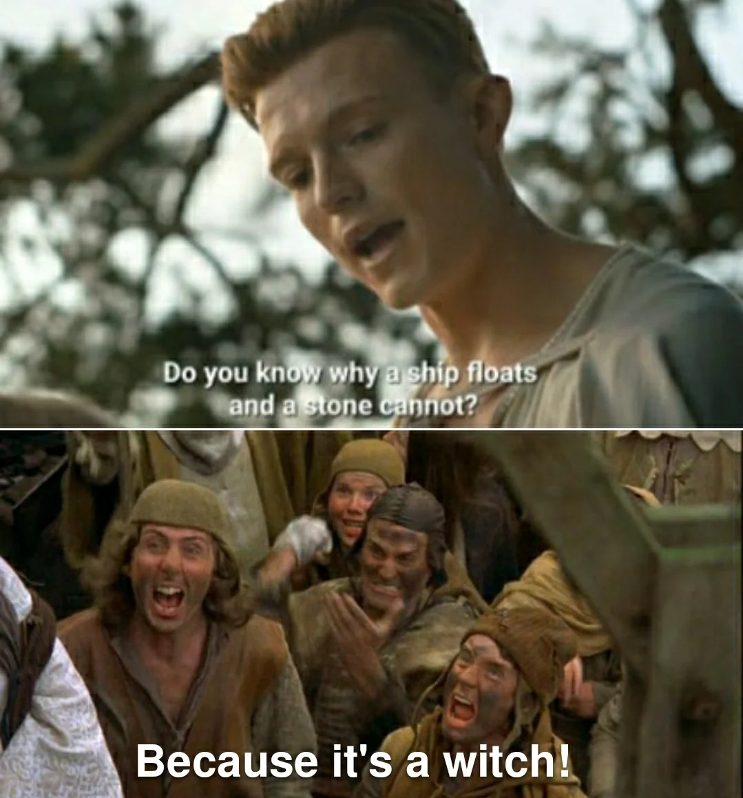 37 Best Monty Python Memes That Will Make You Say "A Blessing From The Lord" 2 Because its a witch - monty python memes