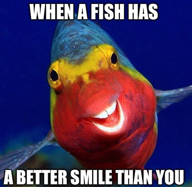 25 Fish Memes That Are the Catch of the Day 1 Better smile - Fish Memes
