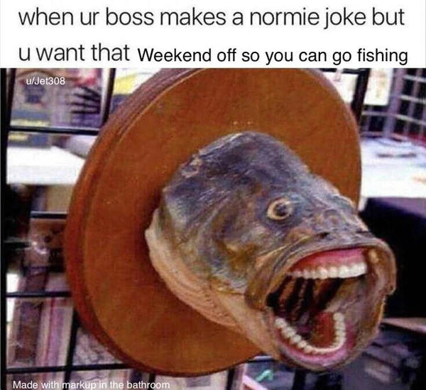 25 Fish Memes That Are the Catch of the Day 2 Boss makes a normie joke - Fish Memes
