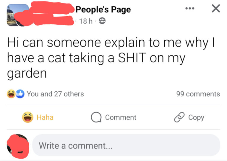 25 Hilarious Angry Rants That Surpassed Their Rage with Pure Comedy ...