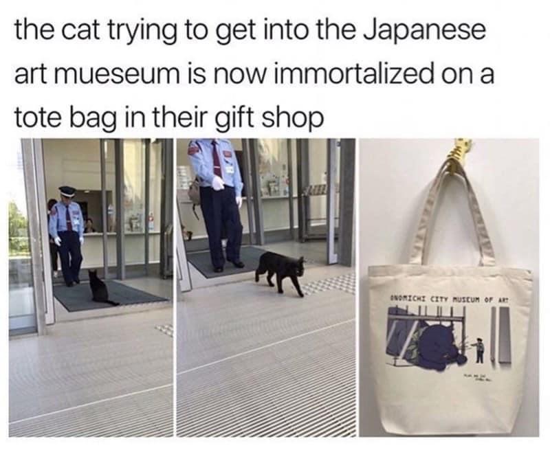 35 Reasons Why You Need To Quit Your Job And Become A Cat 31 Cat trying to get in