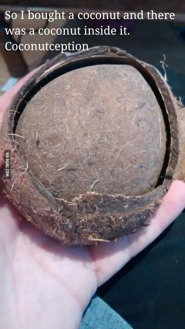 15 Coconut Memes to Crack You Up This World Coconut Day 3 Coconut inside coconut - Coconut Memes
