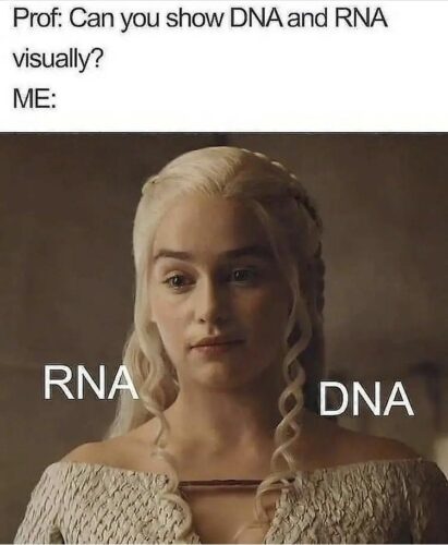 24 DNA Memes That Are Genetically Engineered for Laughs 4 DNA and RNA - DNA Memes
