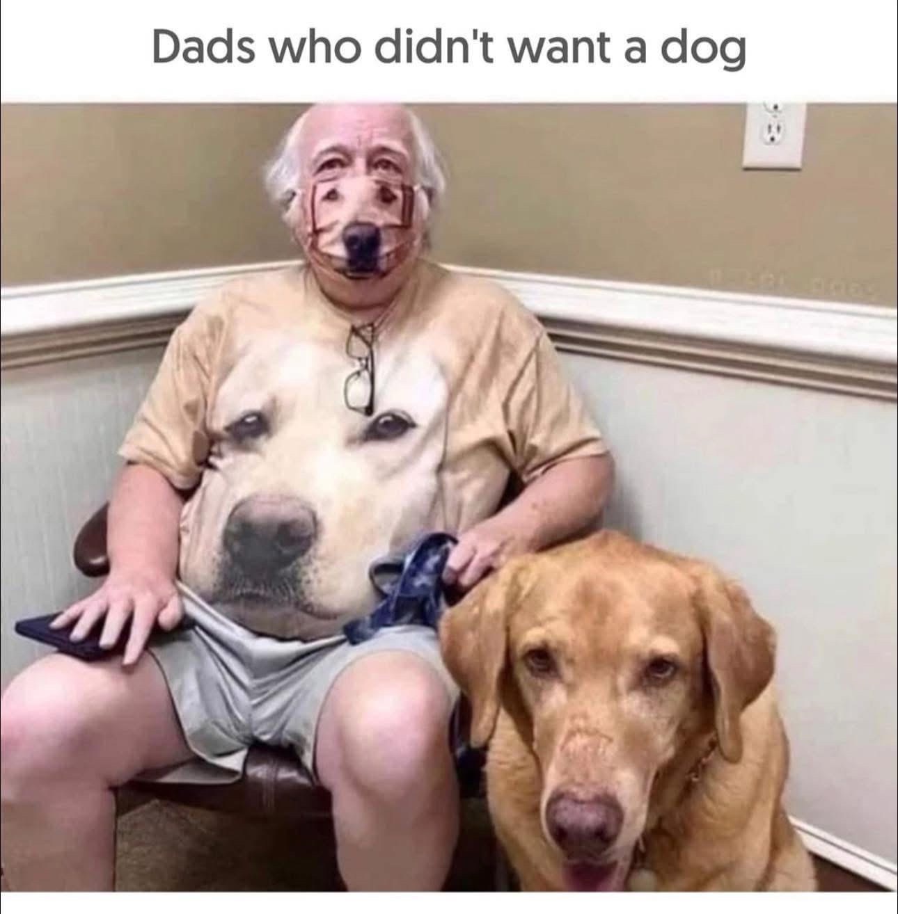 35 Funny Random Memes - A Random Dose Of Happiness 35 dad who didn't want a dog