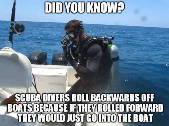 20 Scuba Memes to Dive Into on International Scuba Day 2 Did you know - Scuba Memes