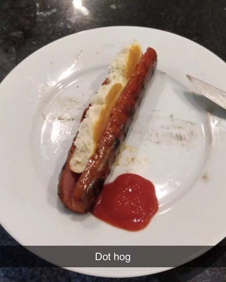 20 Cooking Memes That Are a Recipe for Laughter 6 Dog hot - Cooking Memes
