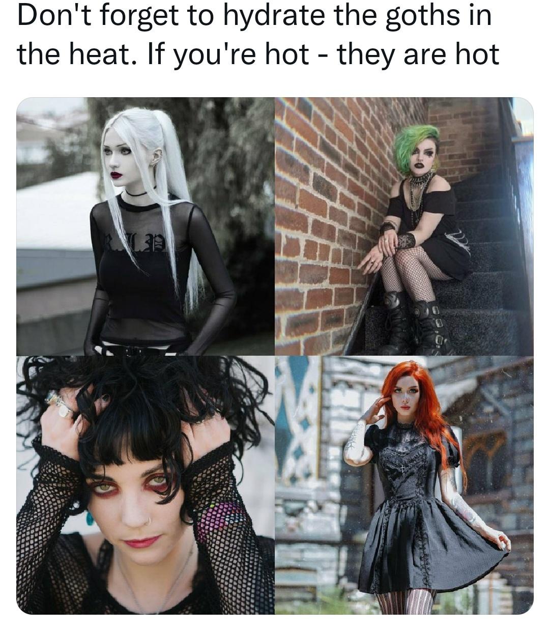 15 Funny Goth Memes for a Good Laugh at Midnight 4 Dont forget to hydrate - Funny Goth Memes