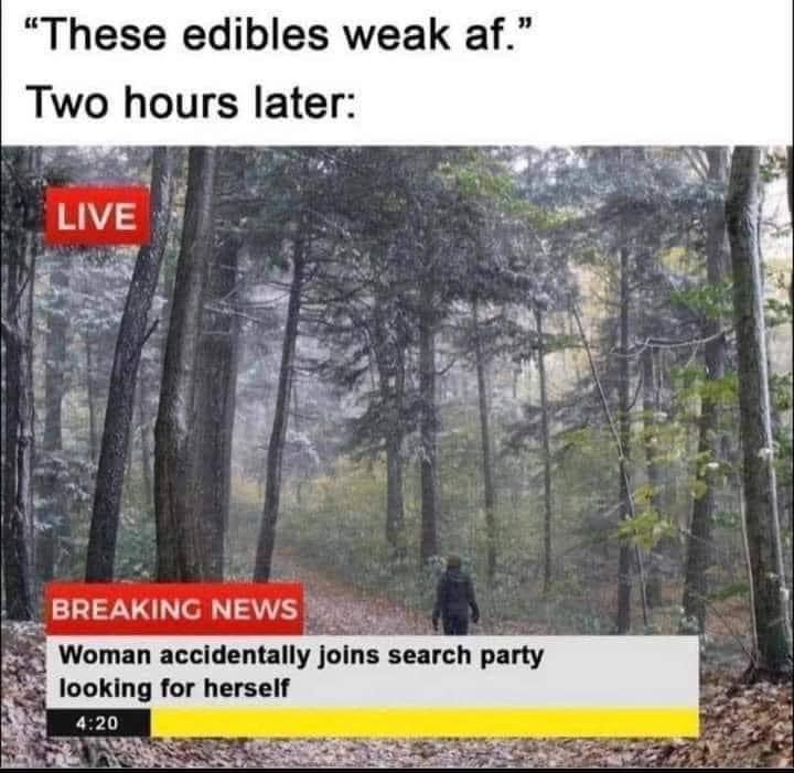 25 Memes That Are the Holy Grail of Humor 4 Edible weak