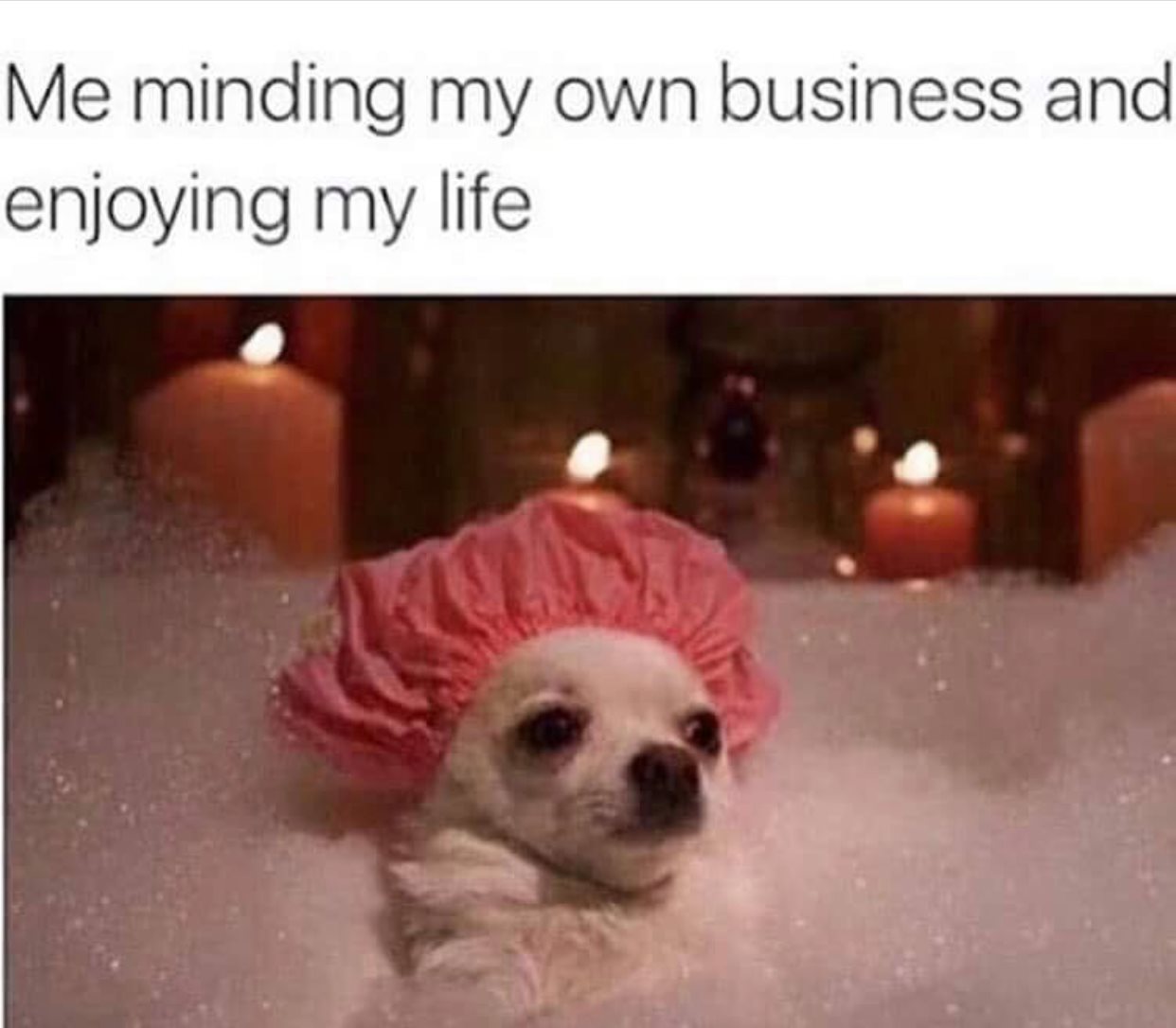 16 Memes About The Art Of Minding Your Own Business 5 Minding my own business and enjoying life - minding your own business memes