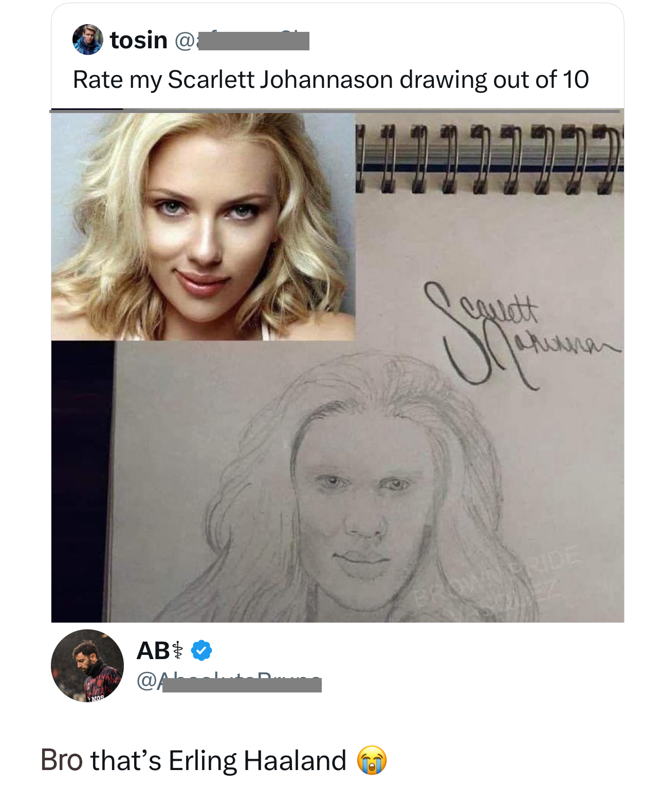 35 Epic Comments That Completely Overshadowed the Original Post 32 Erling haaland