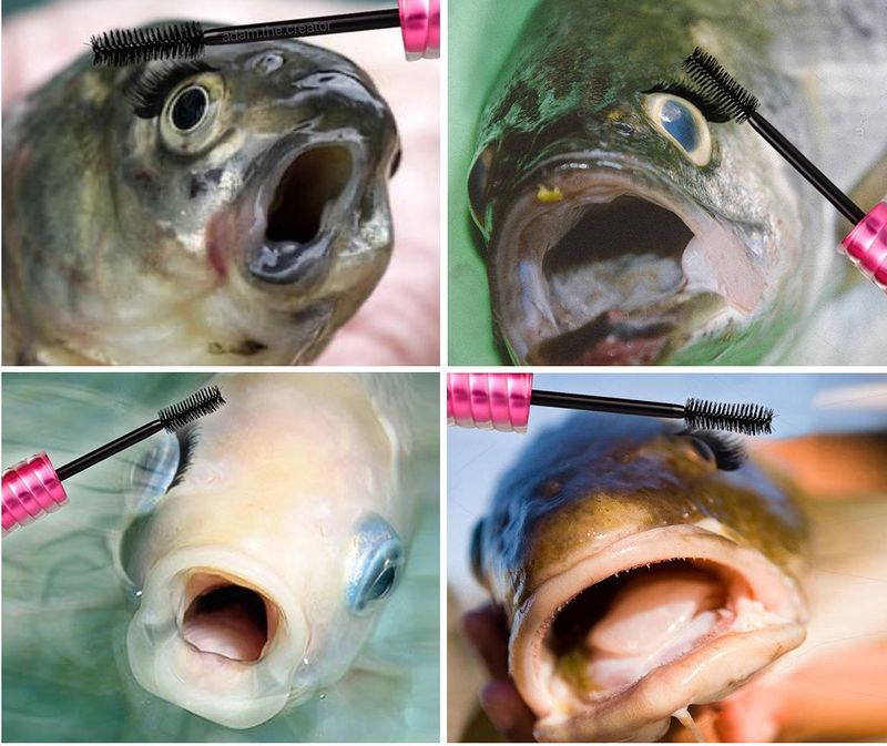 25 Fish Memes That Are the Catch of the Day 5 Eye liner - Fish Memes