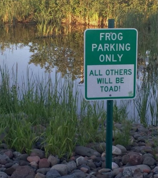 35 Baffling Signs That Seem to Have Been Written by Aliens 9 Frog parking only - Baffling Signs