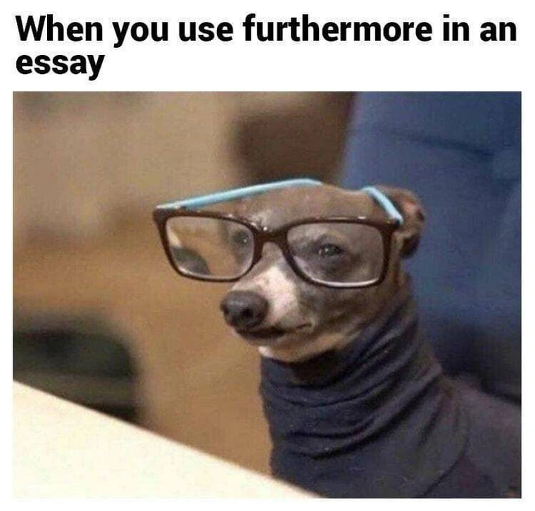 25 Memes That Might Be the Humor You Crave 7 Furthermore