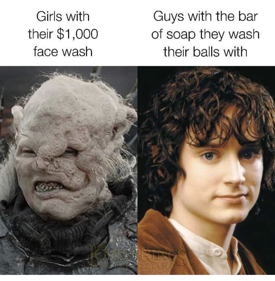 25 LOTR Memes That Will Make You Giggle Like Gollum with the Precious 5 Girls with their facewash - LOTR Memes