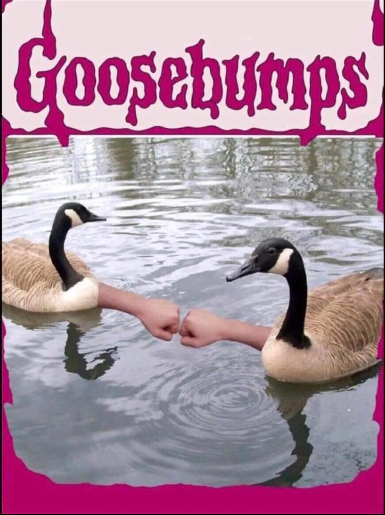 35 Puns That Are Even Fun-er Than A Good Burrito 7 Ghoosebumps - puns