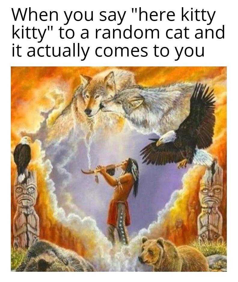25 Mind Numbing Memes That'll Leave You Stunned 9 Here kitty kitty