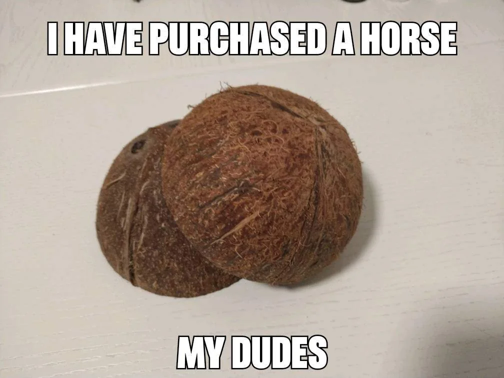 37 Best Monty Python Memes That Will Make You Say "A Blessing From The Lord" 9 I have purchaseda horse - monty python memes