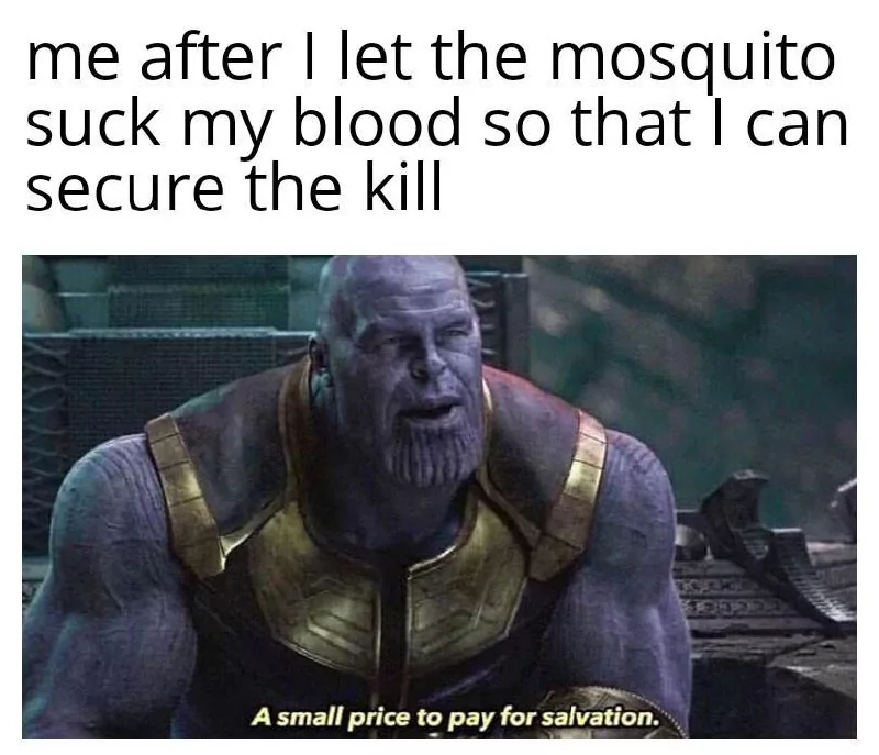 I let the mosquito suck my blood