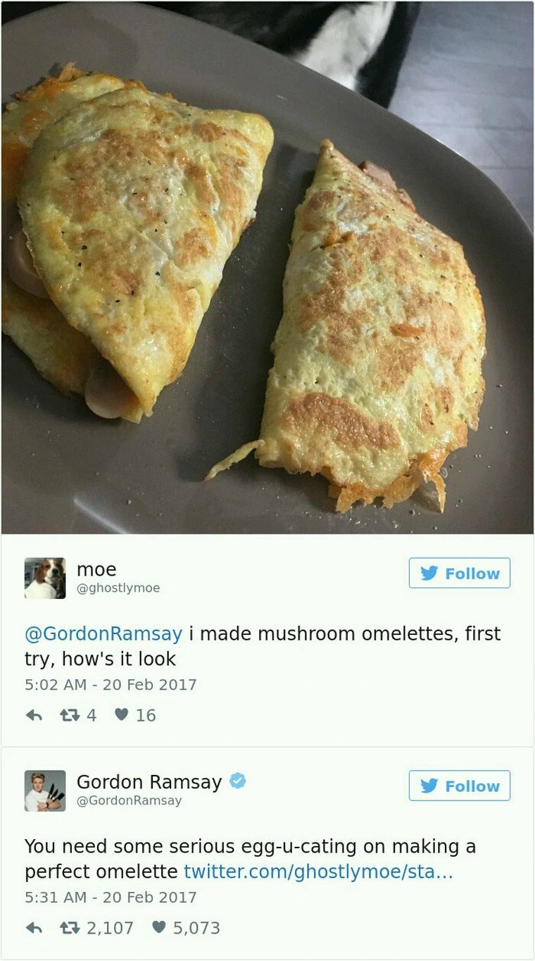 35 Iconic Gordon Ramsay Comments That Destroyed Amateur Chefs 9 I made mushroom omlettes - gordon Ramsay comments