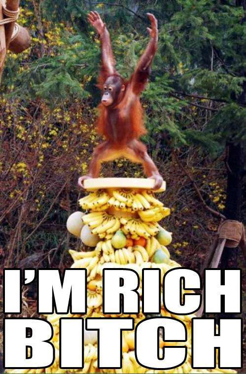 Im rich - Orangutan Memes