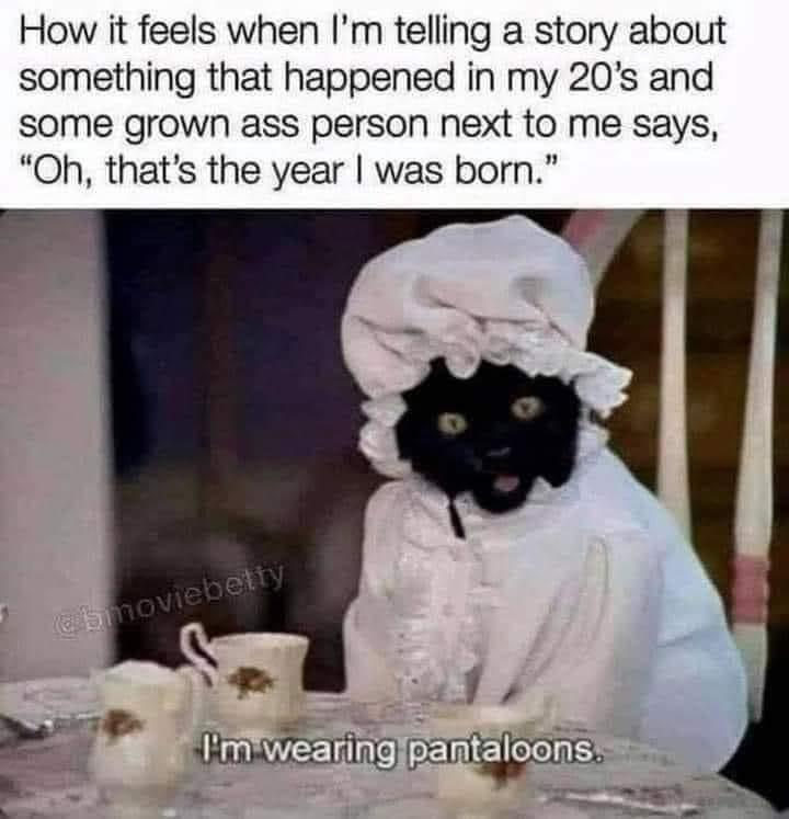 35 Reasons Why You Need To Quit Your Job And Become A Cat 33 Im wearing pantaloons