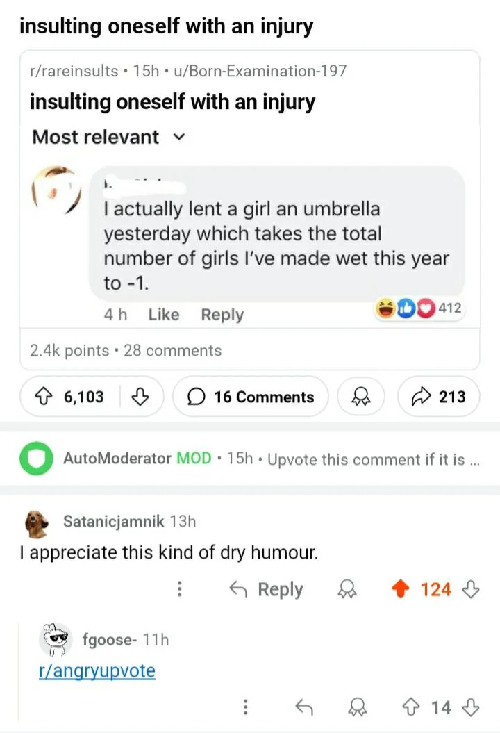 29 Dry Humor Gems That'll Leave You Thirsty for More 28 Insulting oneself