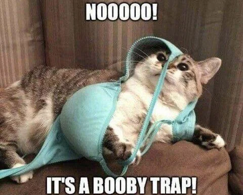 35 Puns That Are Even Fun-er Than A Good Burrito 33 Its a booby trap
