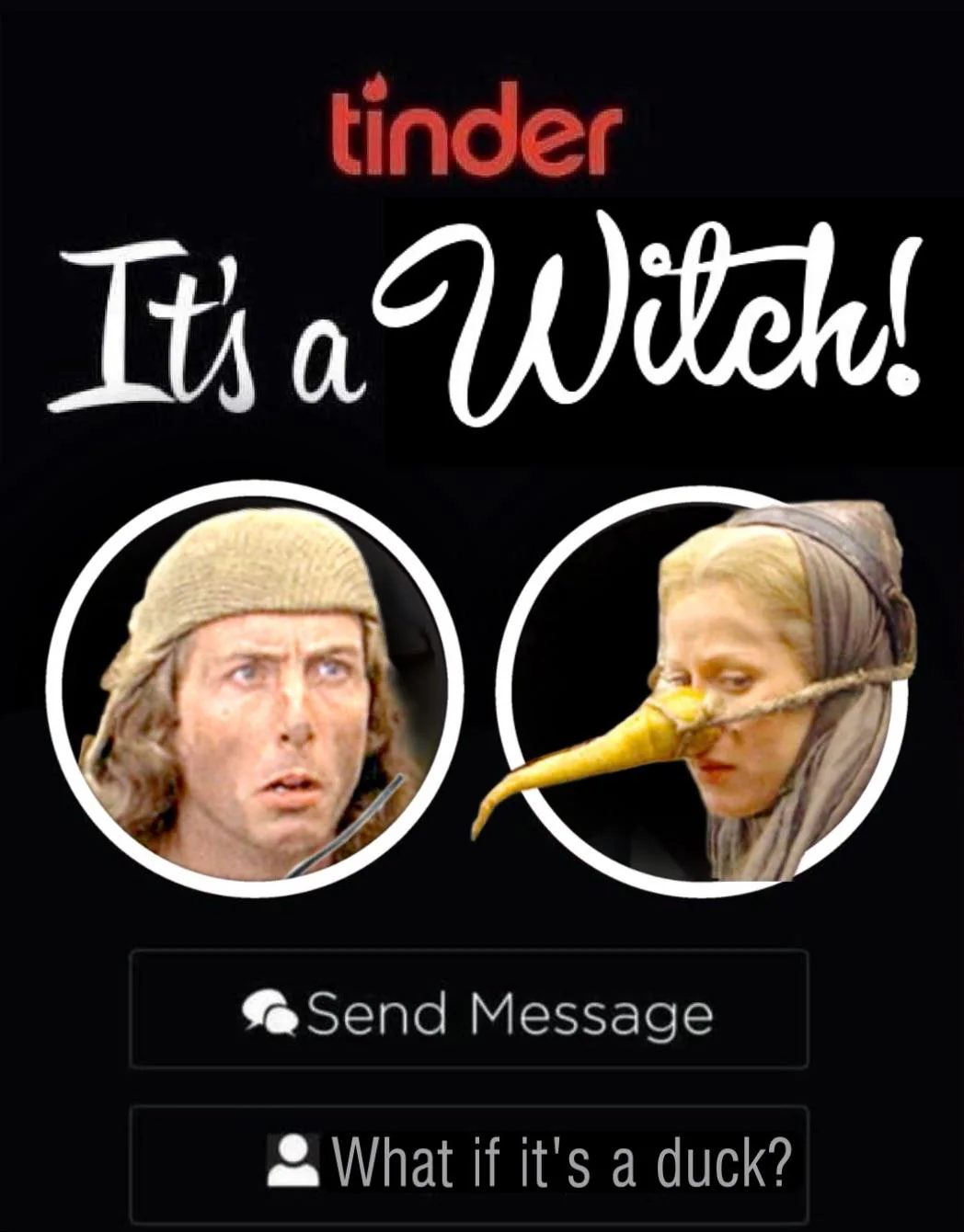 37 Best Monty Python Memes That Will Make You Say "A Blessing From The Lord" 16 Its a witch - monty python memes