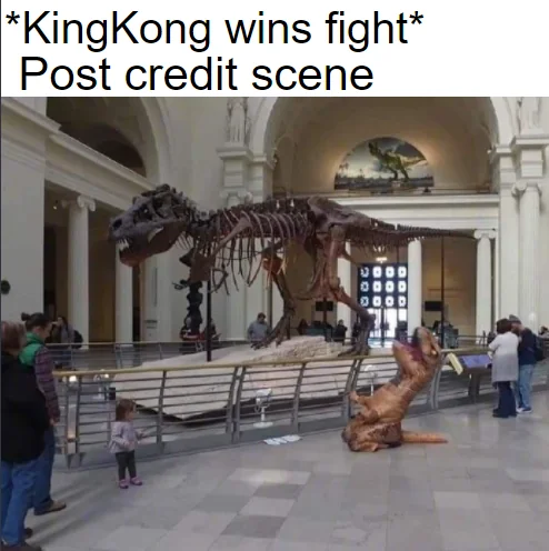 25 Lizard Memes to Honor World Lizard Day 12 King kong wins fight - Lizard Memes
