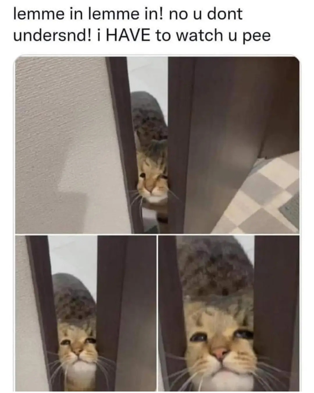 20 Memes That Will Help You Pretend You’re Working Hard 6 Lemme in