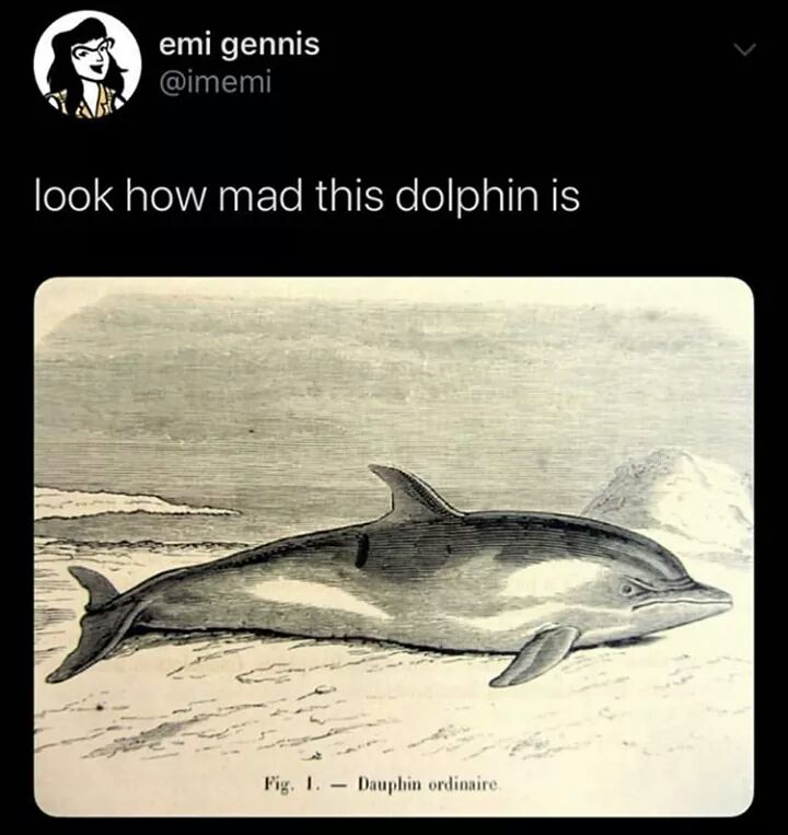 20 Memes So Rare, They Should Be in a Museum 13 Look how mad