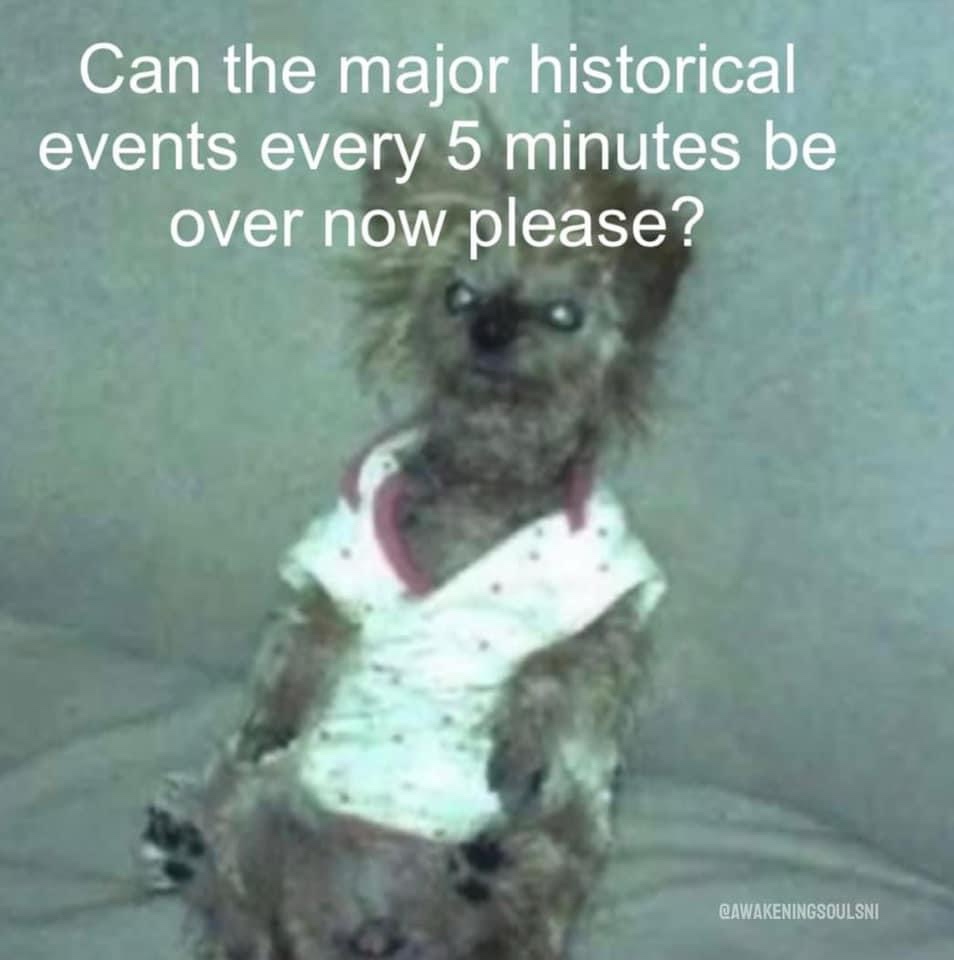 15 Memes That Are Like Chocolate for Your Funny Bone 5 Major historical events