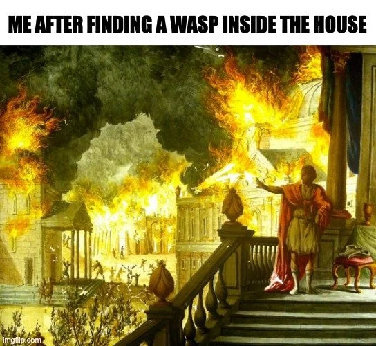 35 Painting Memes That Will Make You Brush Into Laughter 6 Me after finding a wasp - painting memes