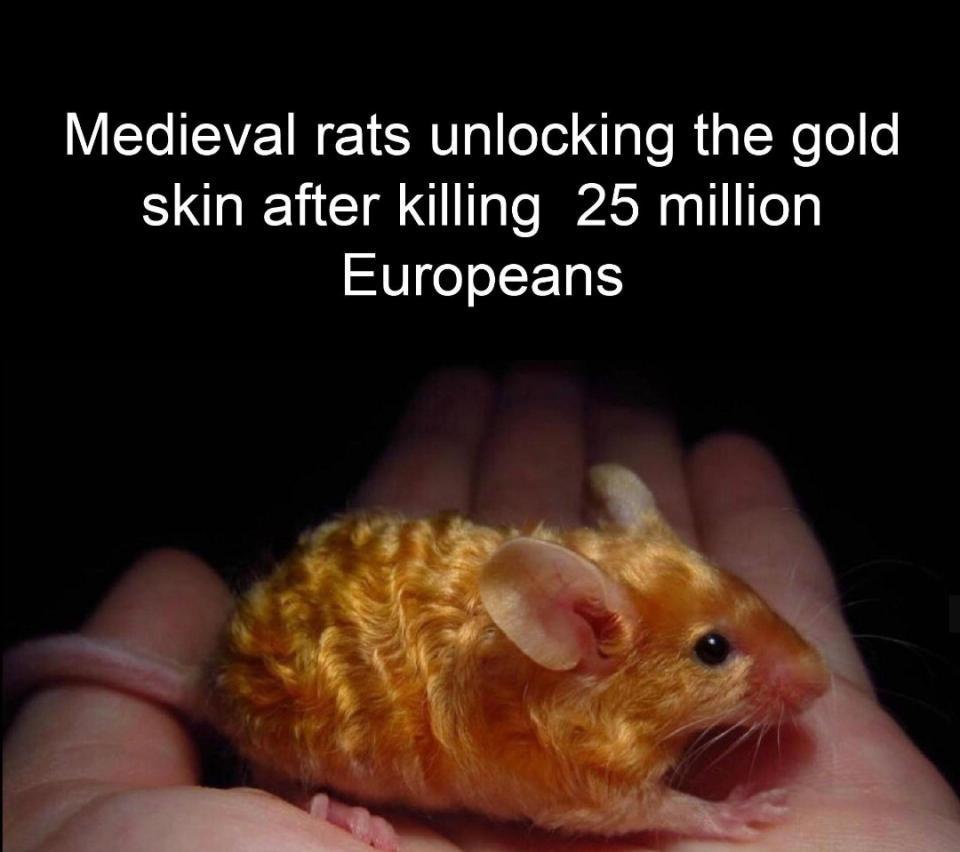 25 Memes That Are the Holy Grail of Humor 14 Medieval rats
