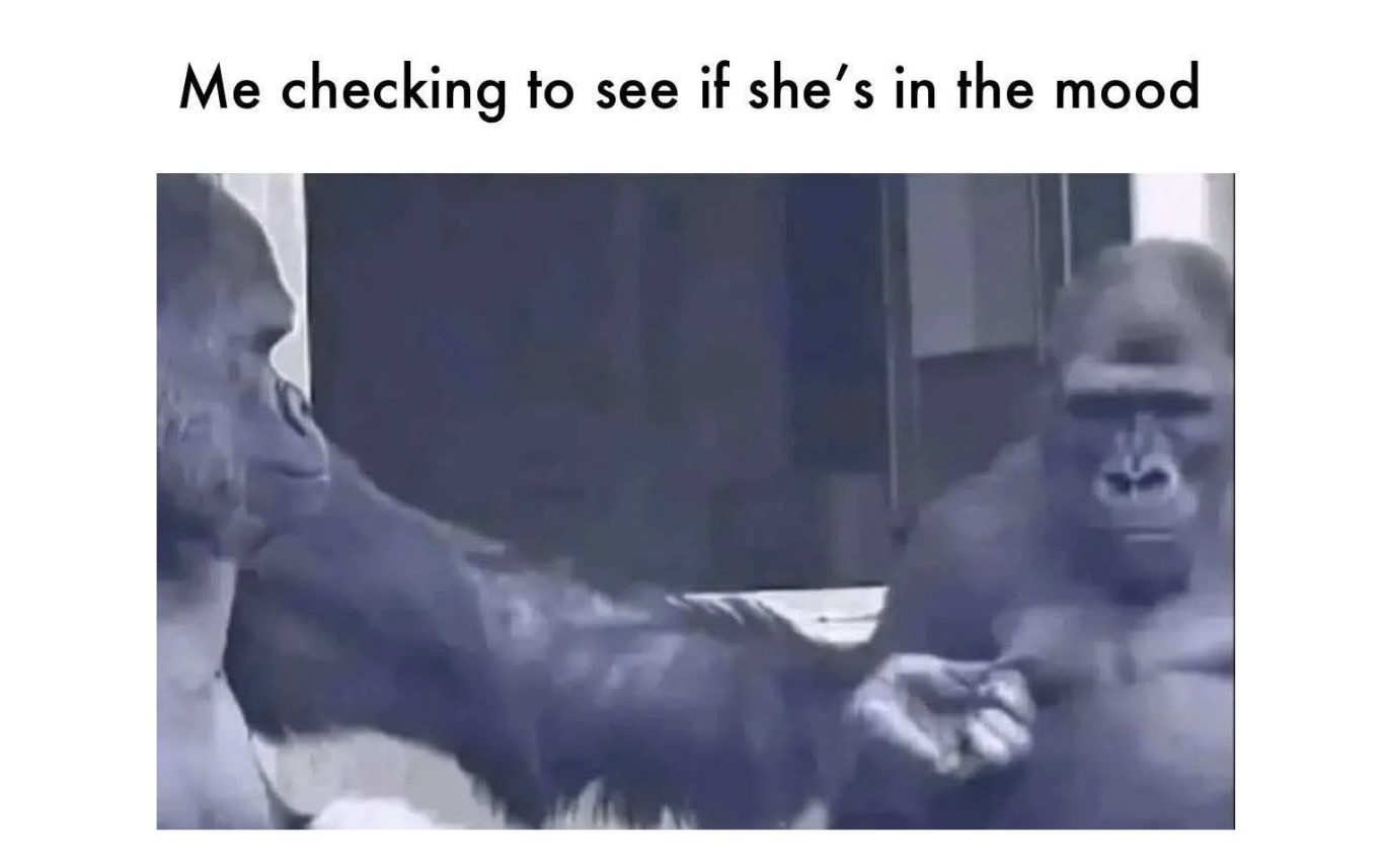 Memes That Will Never Disappoint - FG 2.jpeg