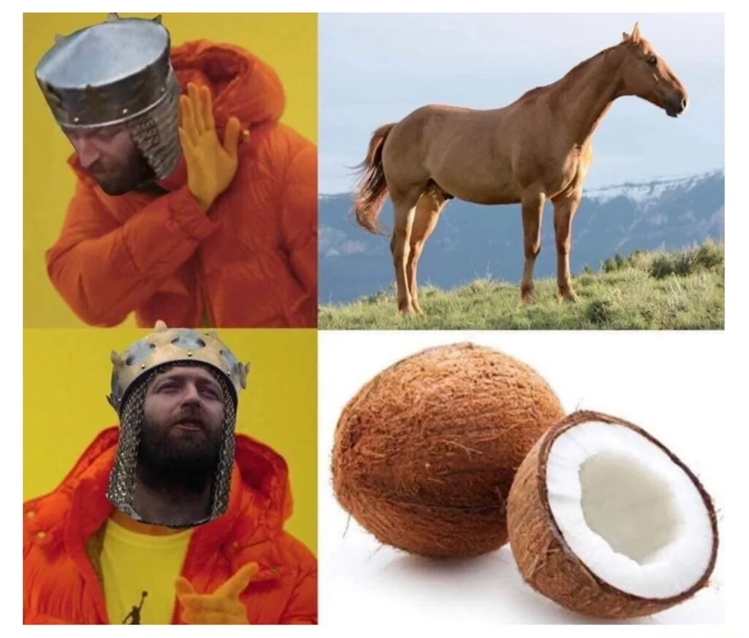 15 Coconut Memes to Crack You Up This World Coconut Day 9 Monty python with horse - Coconut Memes
