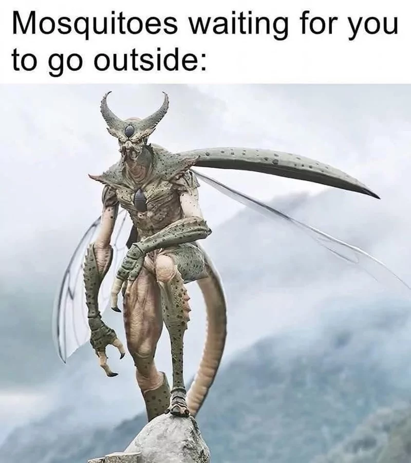 Mosquito waiting for you