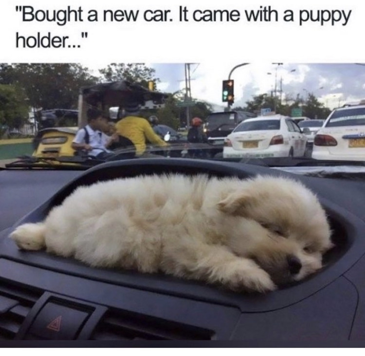 35 Dog Memes That Will Make You Laugh And Reduce Stress 7 New car with puppy holder - dog memes