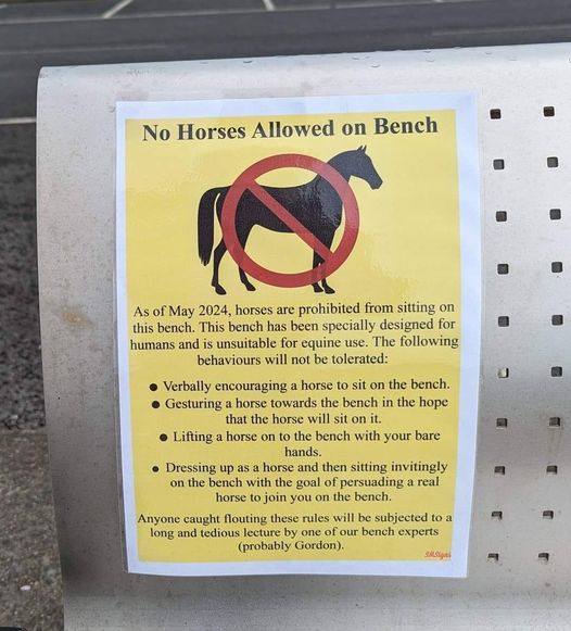 35 Baffling Signs That Seem to Have Been Written by Aliens 18 No horse allowed - Baffling Signs