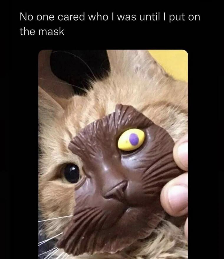 15 Memes That Are Like Chocolate for Your Funny Bone 7 No one cared