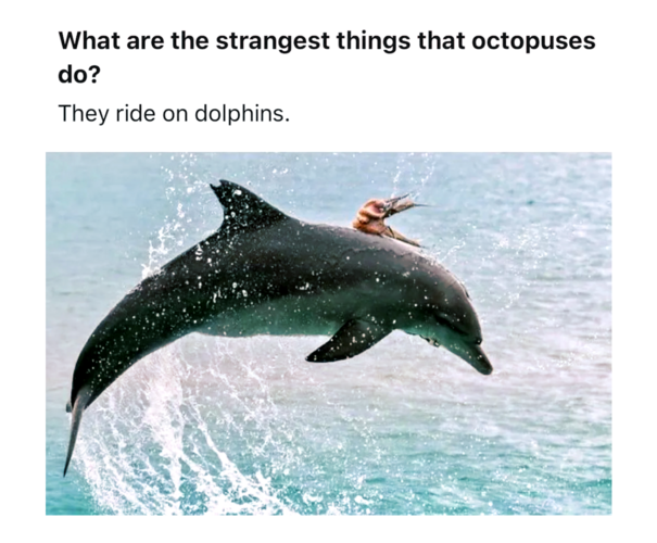 20 Notorious Animal Memes To Add Some Wild Humor To Your Day - Animals