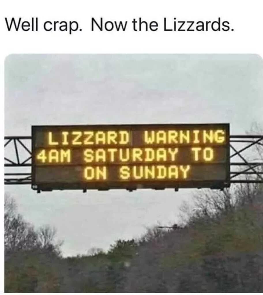 30 Lizard Memes to Honor World Lizard Day 31 Now the lizzards